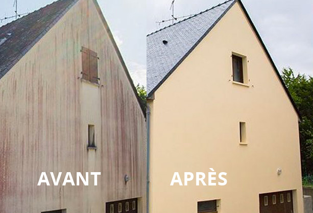 avant-apres-demoussage-maison avant apres démoussage maison