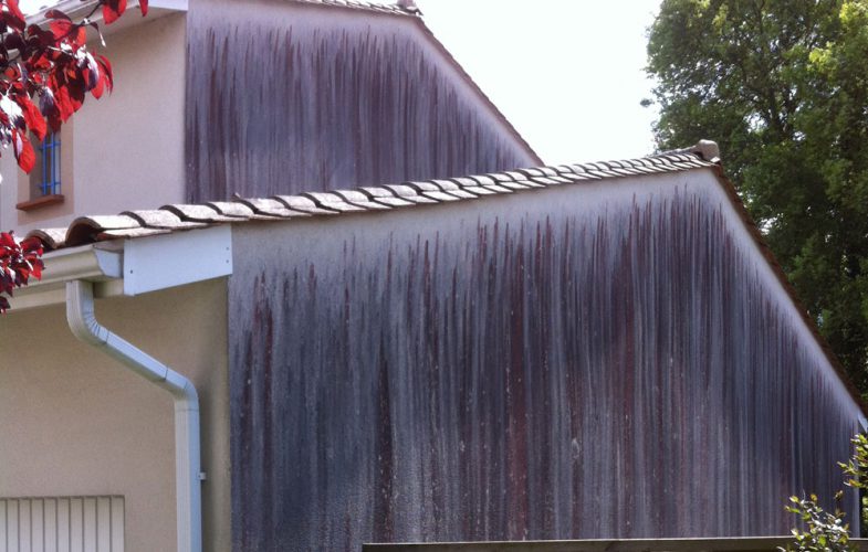 demoussage complet facade 49 angers saumur démoussage complet façade 49 Angers Saumur