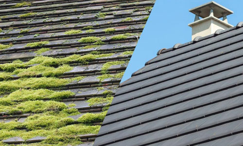 démoussage toiture Angers Saumur 49 démoussage toiture Angers Saumur 49